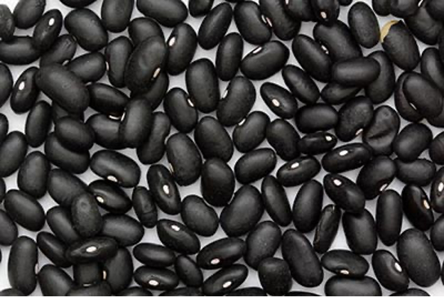 Black Bean​