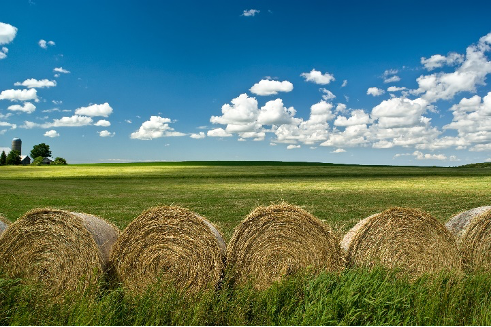 Campo regado Dialsa Cereales