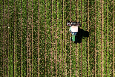 Digitalización de empresas agrícolas